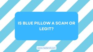 Read more about the article Is Blue Pillow a Scam or Legit? Buyers BEWARE !!!