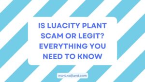 Read more about the article Is Luacity Plant Scam or Legit? Everything You Need To Know