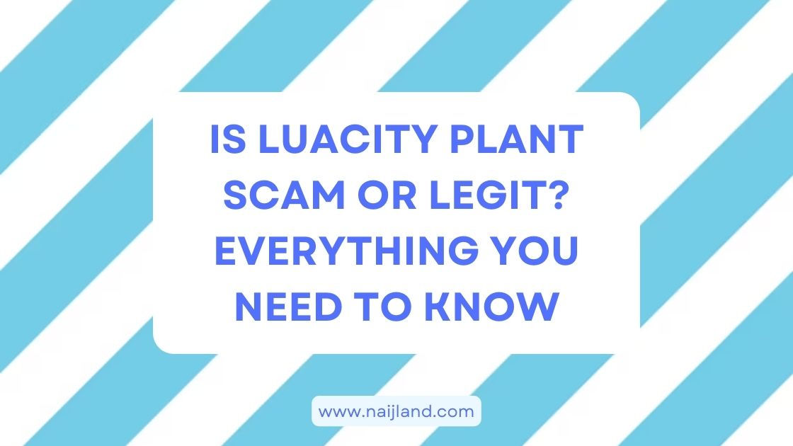 You are currently viewing Is Luacity Plant Scam or Legit? Everything You Need To Know
