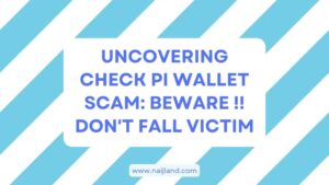 Read more about the article Uncovering Check Pi Wallet Scam: Beware !! Don’t Fall Victim